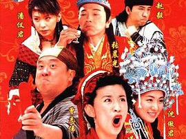 天下第一媒婆MP4格式