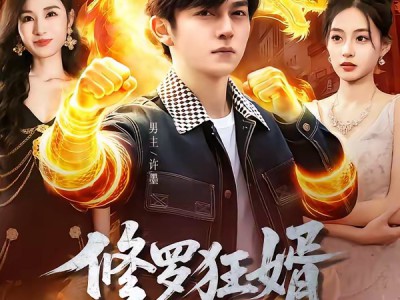 修罗狂婿