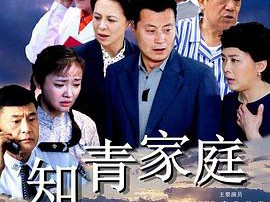 知青家庭MP4格式