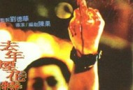 去年烟花特别多