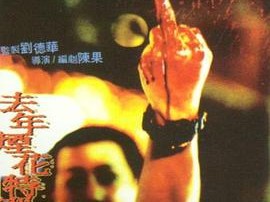 去年烟花特别多