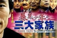 暴风少年之三大家族