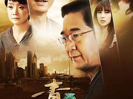 青瓷王志文版MP4格式