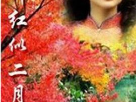 霜叶红似二月花MP4格式