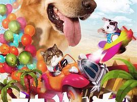 神犬小七第二季MP4格式