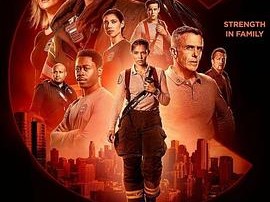 芝加哥烈焰第十一季