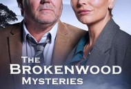 断林镇谜案第11季