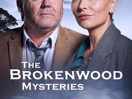 断林镇谜案第11季