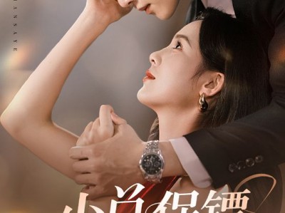 少总保镖太粘人