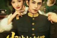 少帅抓错了，夫人不偷情报只偷心