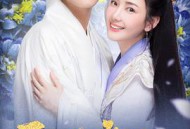 医妃难囚第三季