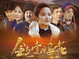 金色索玛花MP4格式