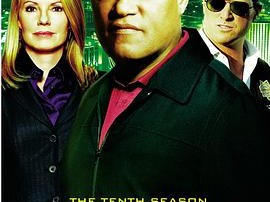 犯罪现场调查 第十季