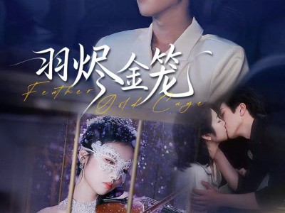 羽烬金笼