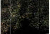 森林的黑暗心脏