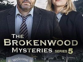 断林镇谜案第五季