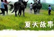 夏天的故事