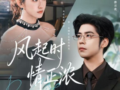 风起时情正浓