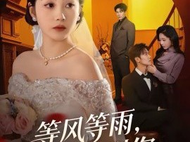 等风等雨，等不到你