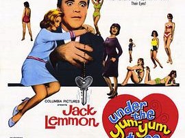 妙房东与俏房客