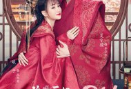 偷心画师MP4格式