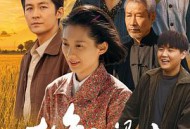 故乡的泥土MP4格式