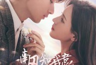 南风知我意MP4格式