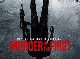 谜案追凶第二季