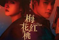 梅花红桃MP4格式