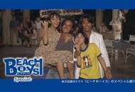 沙滩男孩特别篇