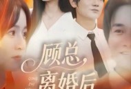 顾总，离婚后情至陌路