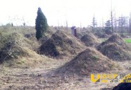 僵尸重生之后寻找千年古墓活女尸当新娘_灵异鬼话_UFO发现网