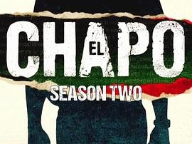 毒枭矮子第二季