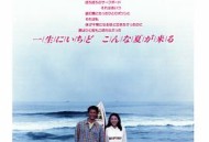 那年夏天，宁静的海