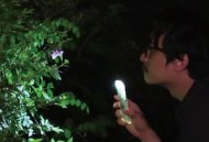 大自然对你说了什么