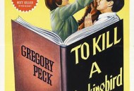 杀死一只知更鸟