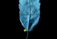 危机边缘第一季