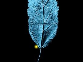 危机边缘第一季