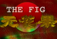 无花果1996MP4格式