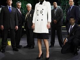 罪案终结第二季