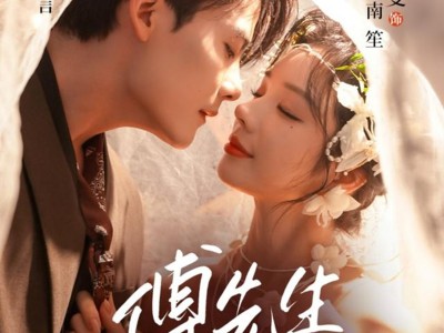 傅先生他甘愿俯首