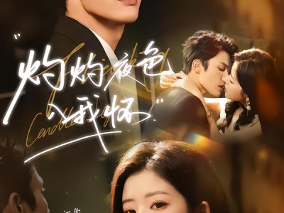 灼灼夜色入我怀