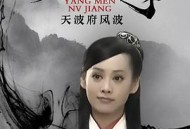 杨门女将之天波府风波