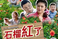 火红的日子MP4格式