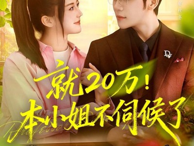 就20万！本小姐不伺候了