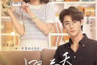 时限三天爱上我MP4格式