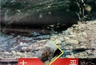 大决战之平津战役