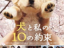 狗狗与我的十个约定