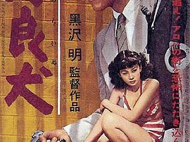 野良犬1949