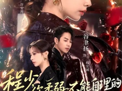 程少你柔弱不能自理的夫人又打架了